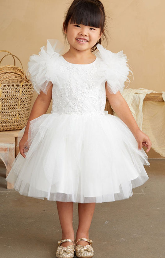 STYLE NO : TIp5848S