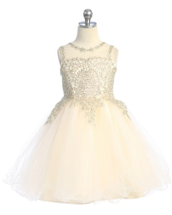 jk_6120s_champagne